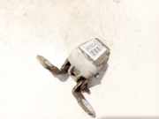 Türscharnier Vorne Renault Scenic, III 2009.02 - 2013.06 Gebraucht,