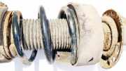 Fahrwerksfeder vorne Audi A3, 8P 2003.05 - 2005.06 Gebraucht,