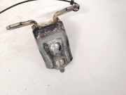 Türscharnier Vorne Renault Vel Satis, 2002.06 - 2009.12 Gebraucht,