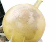 Ausgleichsbehälter Renault Kangoo, 2003.05 - 2007.06 7700836316,