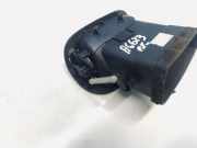 Lüftungsgitter Armaturenbrett Peugeot 206, 1998.08 - 2002.07 9632184877,