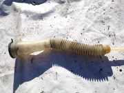 Verschluss Waschwasserbehälter Peugeot 307, 2000.08 - 2005.06 9636710280, 21010900f