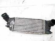 Ladeluftkühler Peugeot 407, 2004.05 - 2010.12 9645682880,