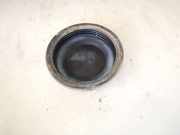 Blende Scheinwerfer - Vorne Renault Megane, II 2002.11 - 2006.06 89001960, 89034832