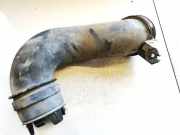 Schlauch für Luftversorgung Renault Zoe I 2012 - 2020.06 1138502, c712