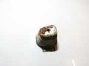 Stoßstangenhalter - Hinten Linke Nissan Micra, K12 2003.01 - 2007.06 Gebraucht,