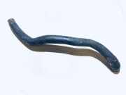 Kühlerschlauch Audi A4, B6 2000.11 - 2004.11 Gebraucht,