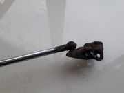 Gasdruckfeder Kofferraum Toyota Avensis Verso, 2001.08 - 2009.11 6895044080, 68950-44080