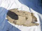 Radhausschale - Hinten Linke Mercedes-Benz W202, 1993.03 - 2000.05 2026983730,