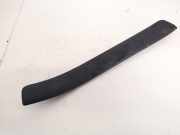 Schwellerverkleidung - Hinten Linke Toyota Corolla, 2001.11 - 2004.02 6791602020, 67916-02020