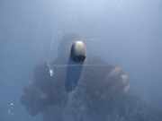 Waschwasserdüse Scheibenreinigung Mitsubishi Outlander, I 2003.01 - 2006.12 Gebraucht,