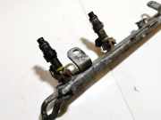 Kraftstoffverteiler Renault Laguna, III 2007.10 - 2010.11 fby2850, 5007x11