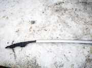 Dachreling Linke Ford Kuga, I 2008.01 - 2012.06 Gebraucht,