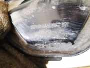 Blende Scheinwerfer - Vorne Opel Vectra, C 2002.04 - 2005.10 20a28586c,