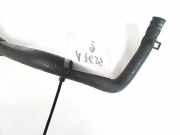 K?hlerschlauch Jaguar X-Type, 2001.06 - 2007.11 Gebraucht,