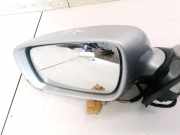 Außenspiegel Linke Volkswagen Phaeton, 2002.04 - 2006 E1010715, BKL