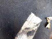 Bodenbelag Kofferraum Ford Mondeo, 2000.11 - 2007.03 5S71F13065AA,