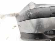 Zier-Schutzleiste Sto?f?nger - Hinten Linke Citroen C5, I 2001.03 - 2008.02 Gebraucht,