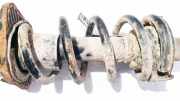 Fahrwerksfeder Hinterachse Honda CR-V, III 2006.06 - 2010.06 Gebraucht,