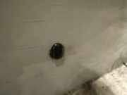 Waschwasserdüse Scheibenreinigung Renault Scenic, I 1999.09 - 2003.06 facelift Gebraucht,