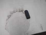 Waschwasserdüse Scheibenreinigung Volkswagen Passat, B4 1993.07 - 1996.08 Gebraucht, AFN