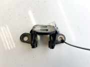 Türscharnier Vorne Chrysler Sebring, III 2007.05 - 2010.12 Gebraucht,