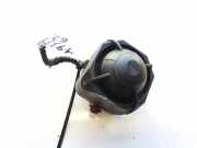 Alarmanlage Renault Scenic, I 1999.09 - 2003.06 facelift Gebraucht,