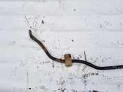 Stabilisator Vorne Fiat Punto, 2005.10 - 2012.03 Gebraucht,