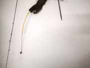 Stellelement Mischklappe Volkswagen New Beetle, I 1997.01 - 2005.06 Gebraucht,