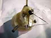 Behälter Bremsflüssigkeit Audi A6, C5 1997.01 - 2001.08 4b0611301e,