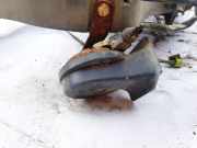Hupe Peugeot 405, 1992.12 - 1999.12 Gebraucht,