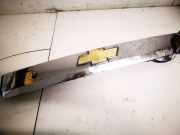 Kennzeichenleuchte Chevrolet Captiva, 2006.01 - 2011.06 96624637,