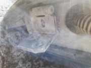 T?rscharnier Hinten Peugeot 607, 2000.01 - 2004.07 Gebraucht,