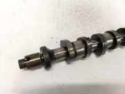 Nockenwelle Volkswagen Phaeton, 2002.04 - 2006 Gebraucht, Ajs
