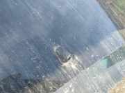 Waschwasserd?se Scheibenreinigung Toyota Corolla Verso, III 2004.05 - 2007 Gebraucht,