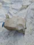 Scheibenwaschbehälter Vorne Wischwasserbehälter Volkswagen Golf, IV 1997.08 - 2003.10 1J0955453B,1J0 955 453 B