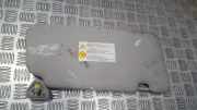 Sonnenblende Nissan X-Trail, 2001.06 - 2007.06 2W105,