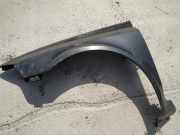 Kotfl?gel - Vorne Linke Renault Laguna, II 2001.03 - 2006.05 pilkas,