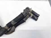 K?hlerschlauch Toyota RAV-4, III 2005.11 - 2012.12 Gebraucht,