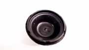Blende Scheinwerfer - Vorne Ford Transit Connect facelift 2009 - 2012 39130749,1305219065 39130749