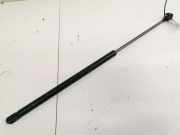 Gasfeder für Motorhaube Renault Espace, III 1996.11 - 2002.10 443721401,