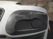 Zier-Schutzleistensatz für Stoßfänger - Vorne Linke Citroen C3 Picasso, I 2009.02 - 2012.06 Gebraucht,