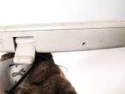 Innenspiegel Rückspiegel Skoda Octavia, II 2004.02 - 2009.03 e9014022,