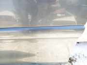 Zierleiste Tür Zier-Schutzleiste - Vorne Linke Citroen C4 Grand Picasso, I 2006.01 - 2013.06 Gebraucht,