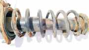 Fahrwerksfeder Hinterachse Toyota Corolla, 2001.11 - 2004.02 Gebraucht,
