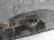 Wischermotor - Hinten Hyundai Getz, 2002.08 - 2009.06 Gebraucht,