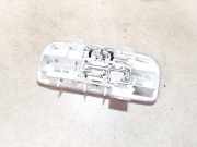 Innenbeleuchtung - Hinten Renault Megane, III 2008.11 - 2012.06 264300007r,
