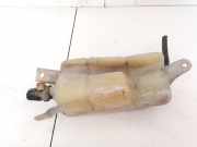 Ausgleichsbehälter Fiat Marea Weekend, 1996.09 - 2002.08 B309,
