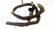 Kopfairbag - Vorne Rechts Renault Scenic, II 2003.06 - 2006.06 8200130499,8200130499 6009402 8200130499F FAB984E207