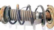 Fahrwerksfeder vorne Peugeot 107, I 2005.01 - 2009.06 Gebraucht,